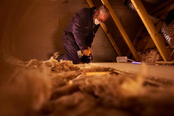 Best Insulation Repair Services  in Grenelefe, FL